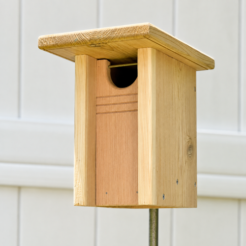 Bluebird nesting box mounted on a tree to provide a safe habitat for bluebirds
