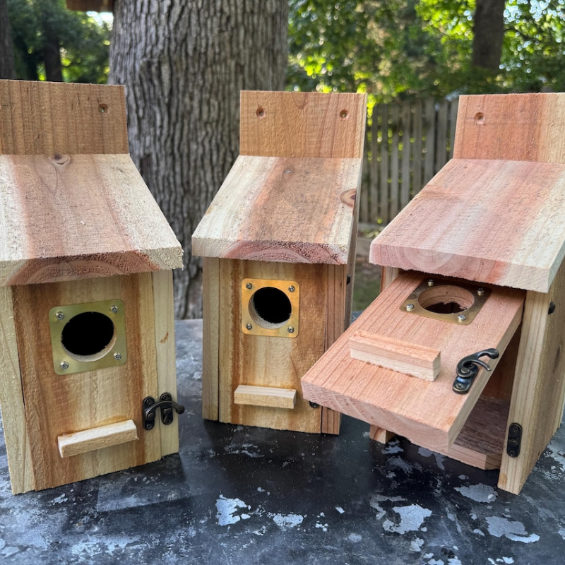 Elegant cedar bird house showcasing natural wood craftsmanship for outdoor garden decor and bird habitat enhancement.
