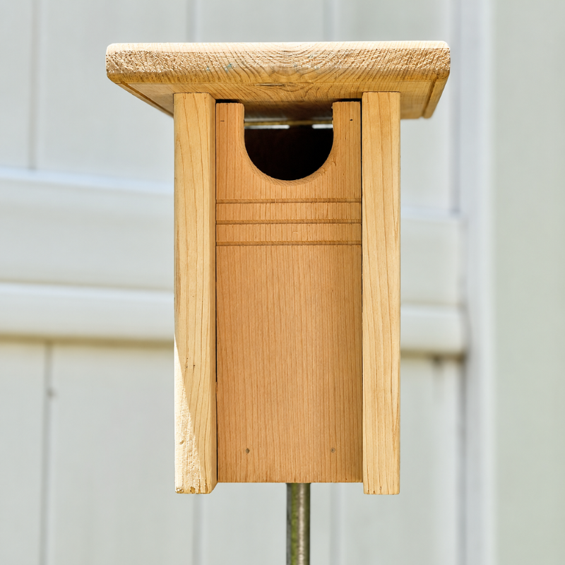 Bluebird nesting box mounted on a tree to provide a safe habitat for bluebirds