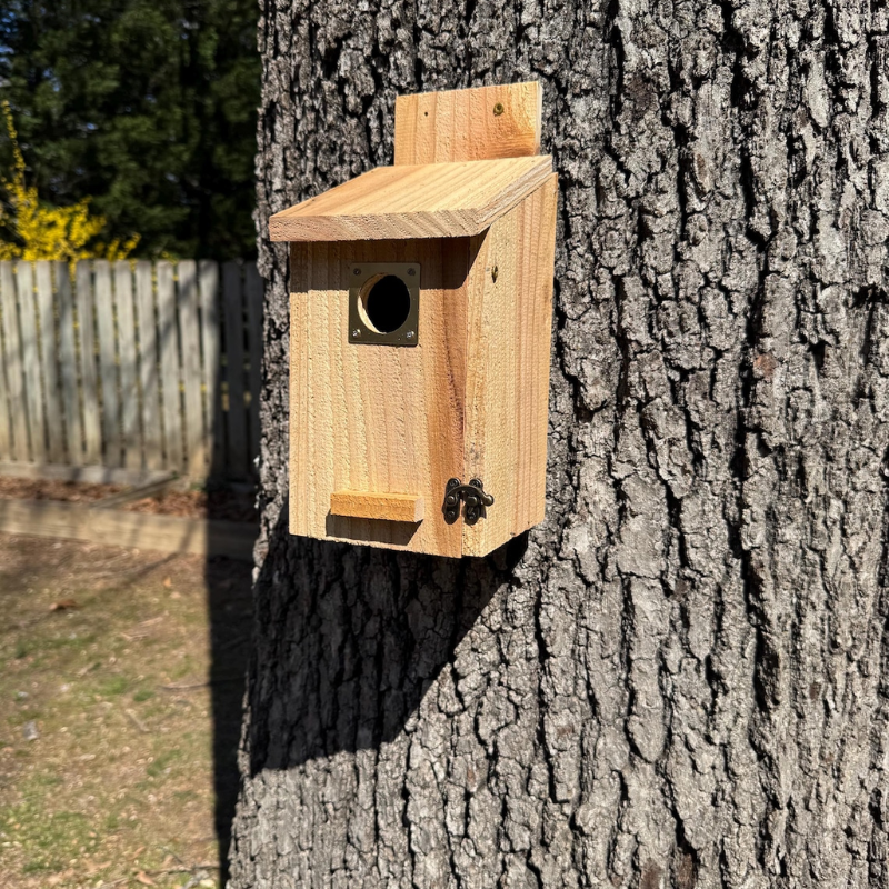 Elegant cedar bird house showcasing natural wood craftsmanship for outdoor garden decor and bird habitat enhancement.